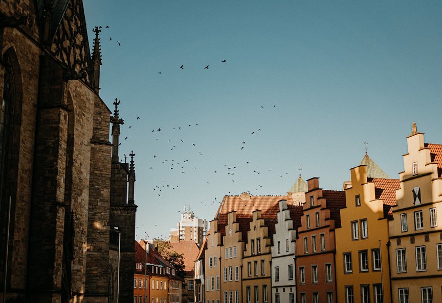 fliegende vögel vor blauen Himmel in der Stadt Osnabrück